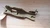Fuel Pump Bracket fits Opel Kadett D Diesel 90180683 Genuine View Front