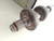 Transmission Input Shaft fits Peugeot Citroen 2311N2 9800252880 Genuine View Rear