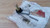 Manual Transmission Ball Joint Left fits Isuzu Bus Truck 1097600850 Genuine View Front