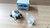 Carburetor Choke Control Cover fits Opel Ascona C Vauxhall Cavalier 90107628 View Front