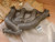 Exhaust Manifold fits Opel Kadett D E Ascona C Vauxhall Cavalier Diesel Genuine 90106466 View Front