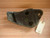 Engine Mount Bracket Right fits Opel Vauxhall Corsa B 90468394 Genuine View Rear