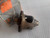 Differential Housing Case fits Fiat 124 131 4439717 Genuine View Upper