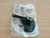 Belt Roller Bracket fits Peugeot 1007 307 Citroen C2 C3 5706H2 Genuine View Rear