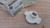 Distributor Rotor Arm fits Opel Vauxhall Ascona C Corsa A Nova Astra F 10469006 View Rear