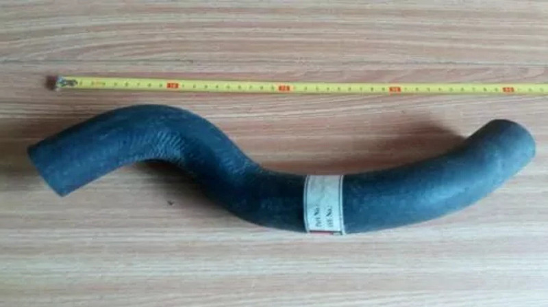 Radiator Hose Lower fits Daewoo Racer Lanos Cielo 96181719 DA005 View Front