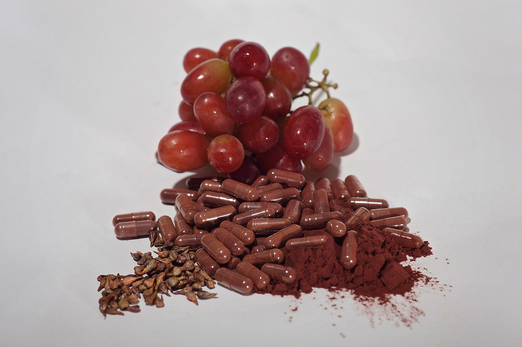 Grape Seed Extract Proanthocyanidins Antioxidant OPC 95% - 90 (500mg) capsules