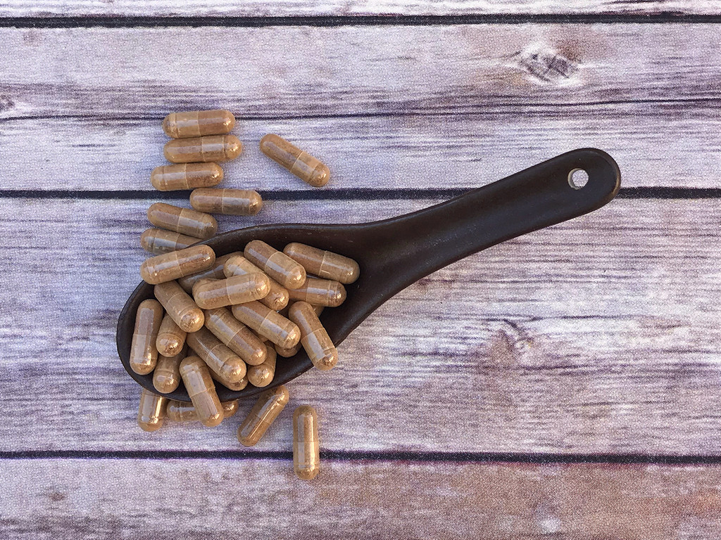 Astragalus Extract 20:1