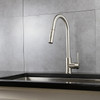 Olivi Brass Kitchen Faucet w/ Pull Out Sprayer, LKFS8011BN - Brushed Nickel