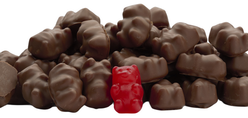 Chocolate-Covered Cinnamon Bears
