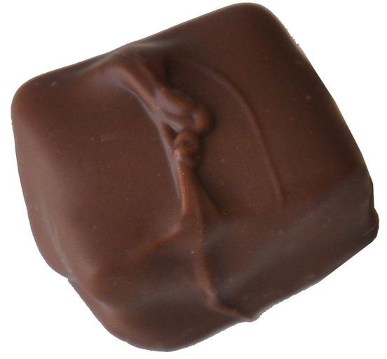 fudgette-cropped.png