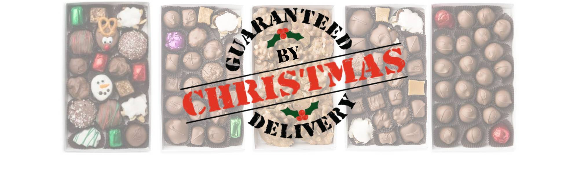 guaranteed-delivery-by-christmas-2024-wo-click-verbage.jpg