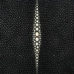 Stingray Texture