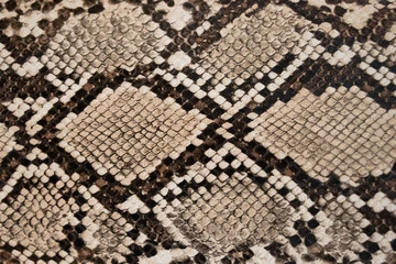 Python Skin Texture