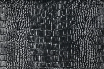 Crocodile Texture