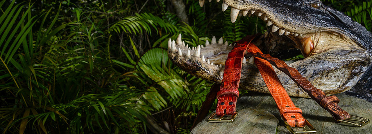Alligator Jake's - Exotic Leather Products