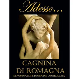 NESPOLI ADESSO CAGNINA DI 750ML