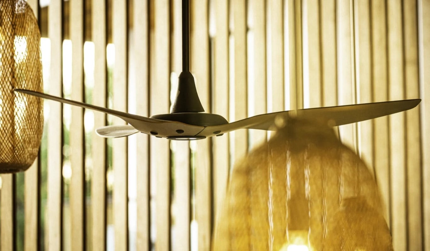 Ceiling Fans