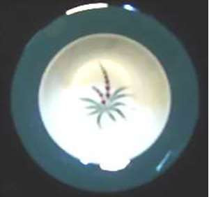 Homer Laughlin Lupine CV23 Soup Bowl 8". Collectible replacement piece available at China Lane.