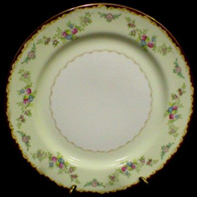 Shofu - SFU3 - Dinner Plate