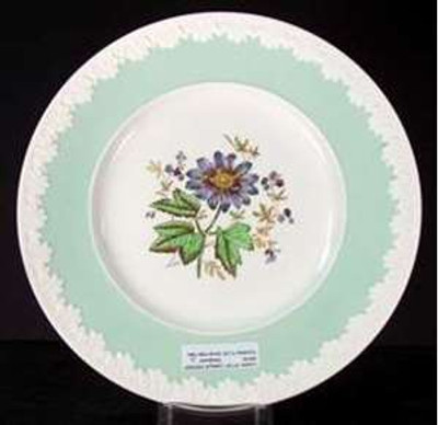 Wedgwood - Hampton Court~Green Rim TL135 - Dinner Plate