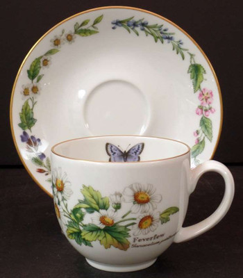 Royal Worcester - Worcester Herbs (Gold Trim) - Cup and Saucer