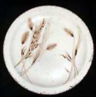 Midwinter - Wild Oats - Dinner Plate - LW