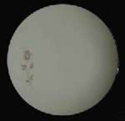 Noritake - Pasadena 6311 - Dinner Plate - LW