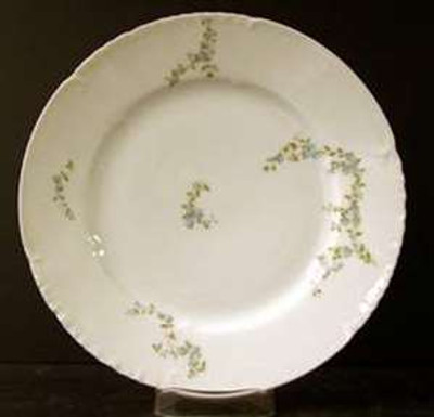 Haviland Charles Field - Head #62 - Dinner Plate - AN