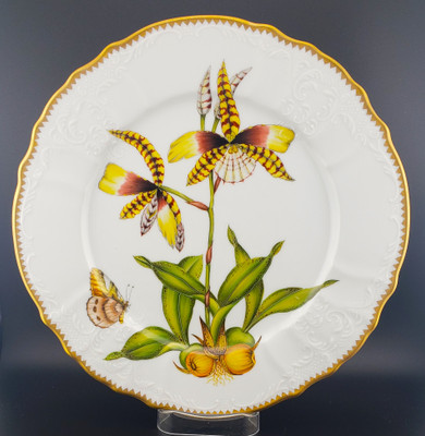 Anna Weatherley Orchid Dinner Plate, Design OR4. 11".