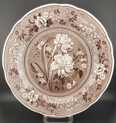 Spode Archive Collection Brown Dinner Plate - Botanical - Archive Collection Brown by Spode.