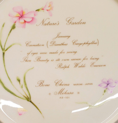 Mikasa - Nature's Garden - Dinner Plate - Carnation - AN