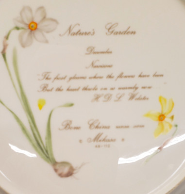 Mikasa - Nature's Garden - Dinner Plate - Narcissus - AN