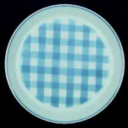 Mikasa Blueberry C4582 Dinner Plate. Replacement piece available at China Lane. 10 7/8"