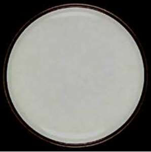 Mikasa Natural Beauty C9000 (No Decor) Cereal Bowl from the Natural Beauty C9000 (No Decor) collection by Mikasa.