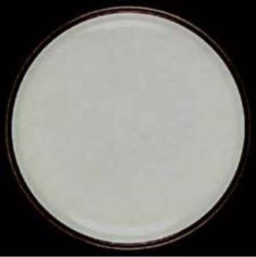 Mikasa Natural Beauty C9000 (No Decor) Creamer - collectible replacement piece by Mikasa.