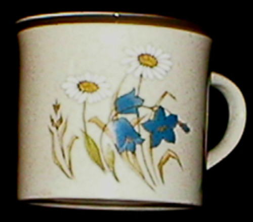 Royal Doulton - Hilltop LS1025 - Cup