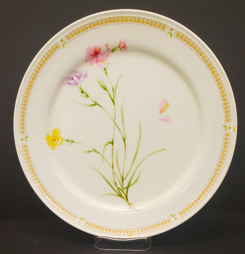 Mikasa - Nature's Garden - Dinner Plate - Carnation - AN