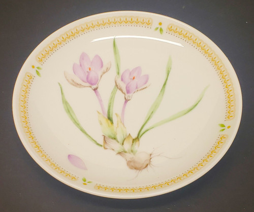 Mikasa - Nature's Garden - Coaster - N