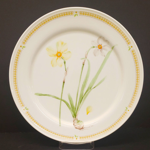 Mikasa - Nature's Garden - Dinner Plate - Narcissus - AN