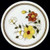 Japan China - Painted Meadow - Dinner Plate