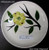 Joni - Dixie Dogwood - Cup and Saucer