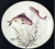 Johnson Brothers Fish Design #3 Dinner Plate from the Fish Design #3 collection by Johnson Brothers.