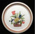 Mikasa - Garden Bouquet F5815 - Cup and Saucer