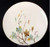 Lenox - Westwind X407 - Dinner Plate