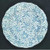 Open Home - Chintz ~ Cornflower Blue - Cereal Bowl