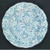 Open Home - Chintz ~ Cornflower Blue - Charger