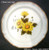 Mikasa Sunny Side EB802 Dinner Plate
