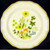 Mikasa - Fresh Floral - Dinner Plate