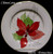 Block - Poinsettia - Salad Plate